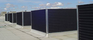 Cottonwood Filter Screens